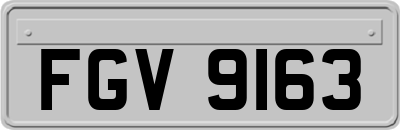 FGV9163