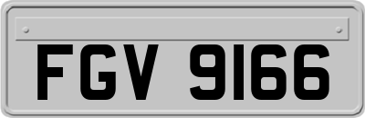 FGV9166