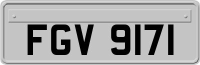FGV9171