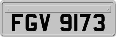 FGV9173