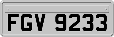 FGV9233
