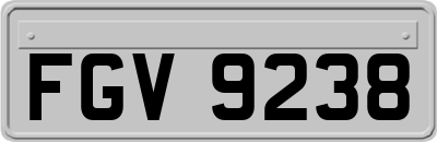 FGV9238