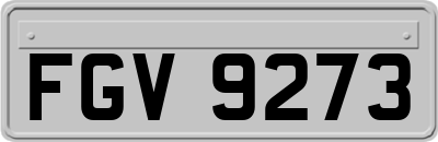 FGV9273