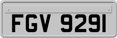 FGV9291