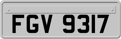 FGV9317