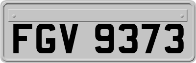 FGV9373