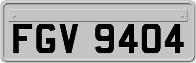 FGV9404