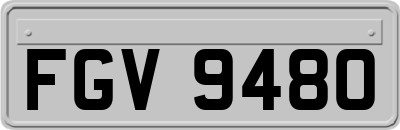 FGV9480
