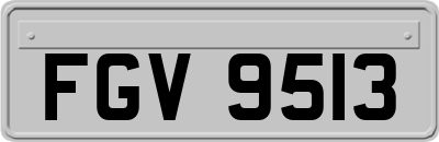 FGV9513