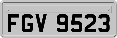 FGV9523