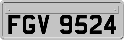FGV9524