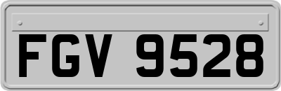 FGV9528
