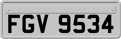 FGV9534