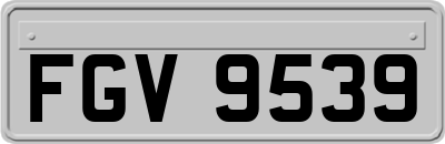FGV9539