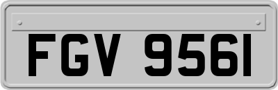 FGV9561