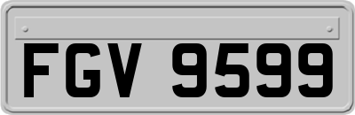 FGV9599
