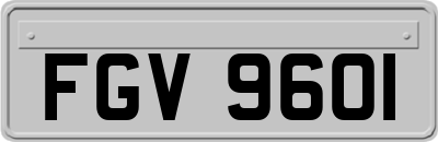 FGV9601