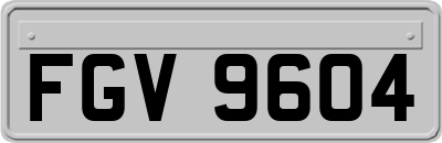 FGV9604
