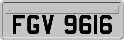 FGV9616