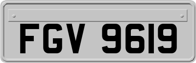 FGV9619