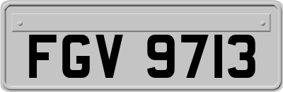 FGV9713