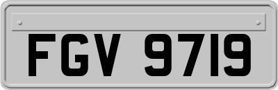 FGV9719