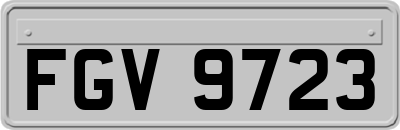 FGV9723