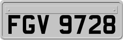 FGV9728