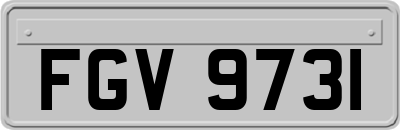 FGV9731