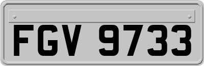 FGV9733