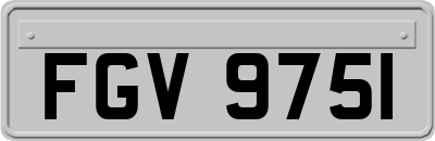 FGV9751