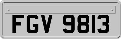 FGV9813