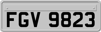 FGV9823