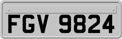 FGV9824