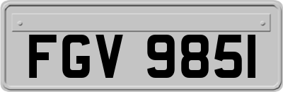 FGV9851