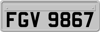 FGV9867