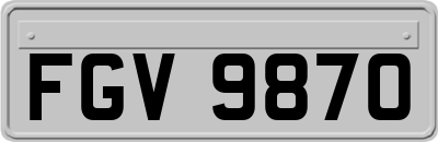 FGV9870