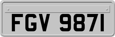 FGV9871