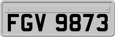 FGV9873
