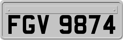 FGV9874