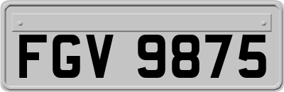 FGV9875