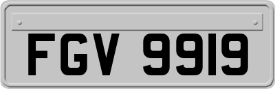 FGV9919
