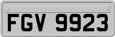 FGV9923