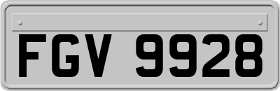 FGV9928