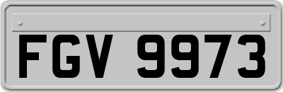 FGV9973
