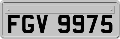 FGV9975