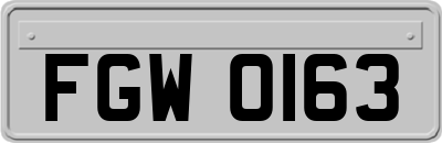 FGW0163