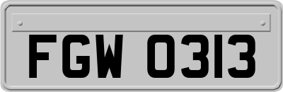 FGW0313