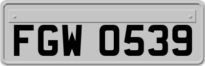 FGW0539