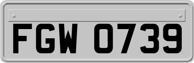 FGW0739